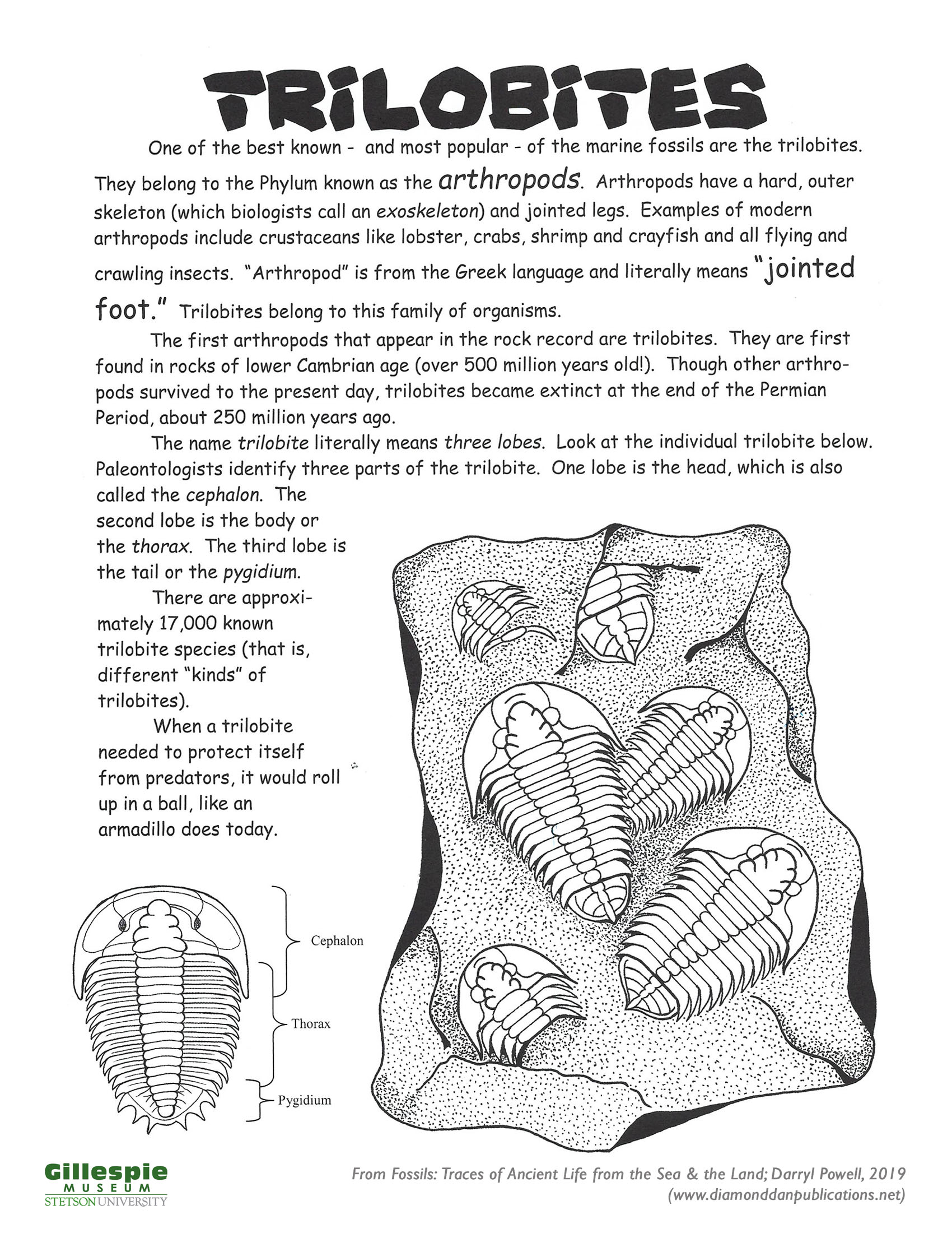Geology and Mineralogy Resources - Stetson University